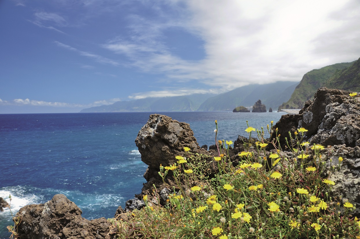 4 Madeira Nature 2