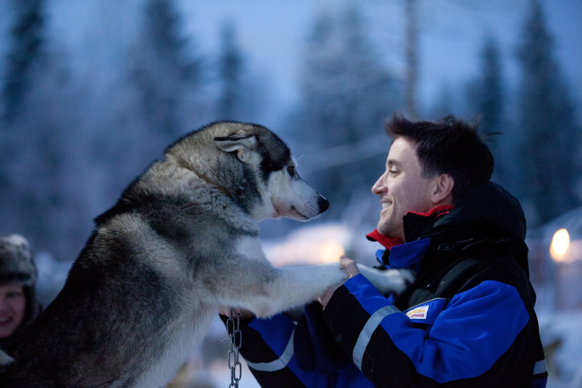 Antti Pietikainen husky4
