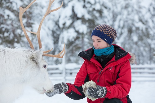 23 10 TW Harriniva Hotels & Safaris Reindeer 19 resize