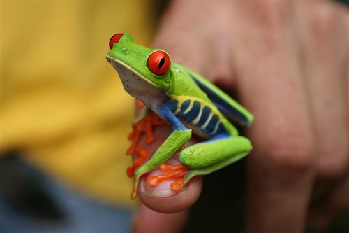 Costa Rica