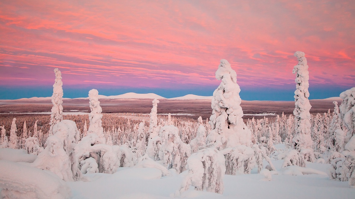 Credit Antti Pietikainen 2442 2