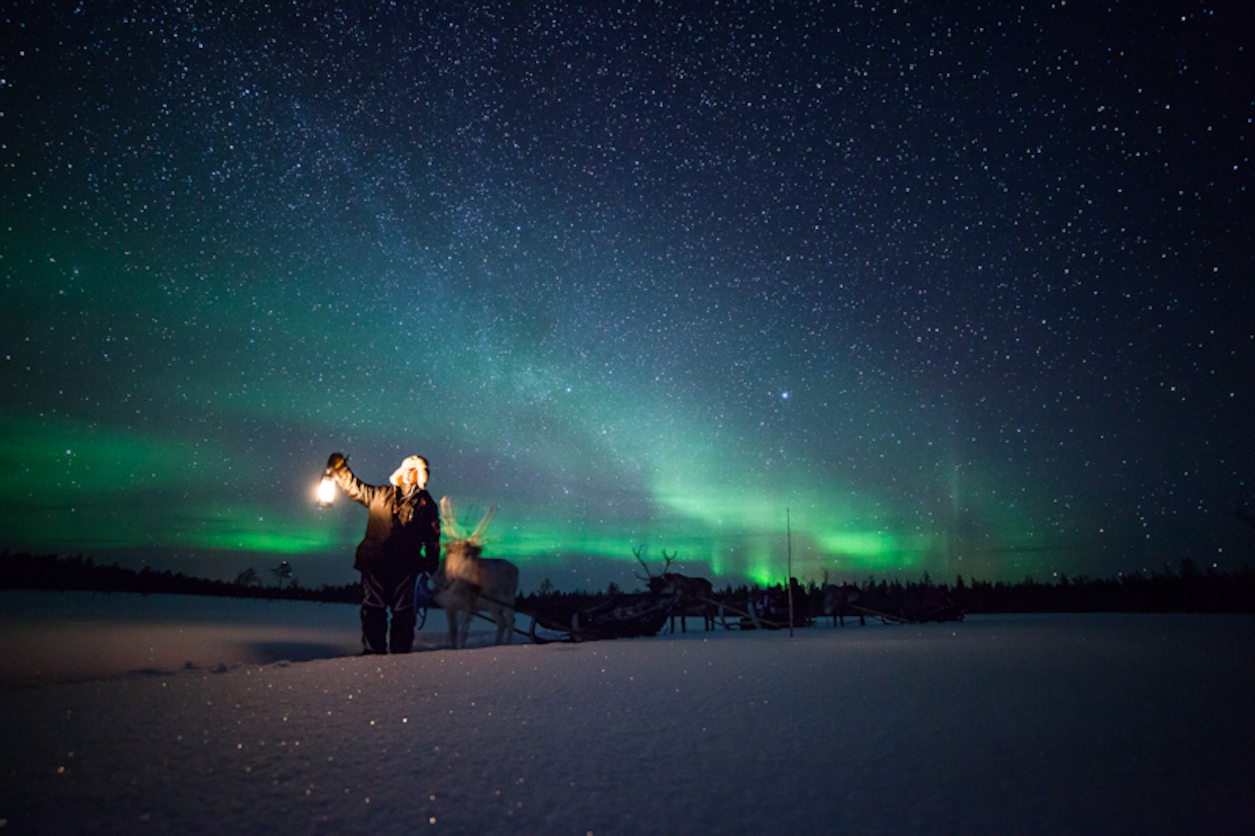 Credit Antti Pietikainen 310