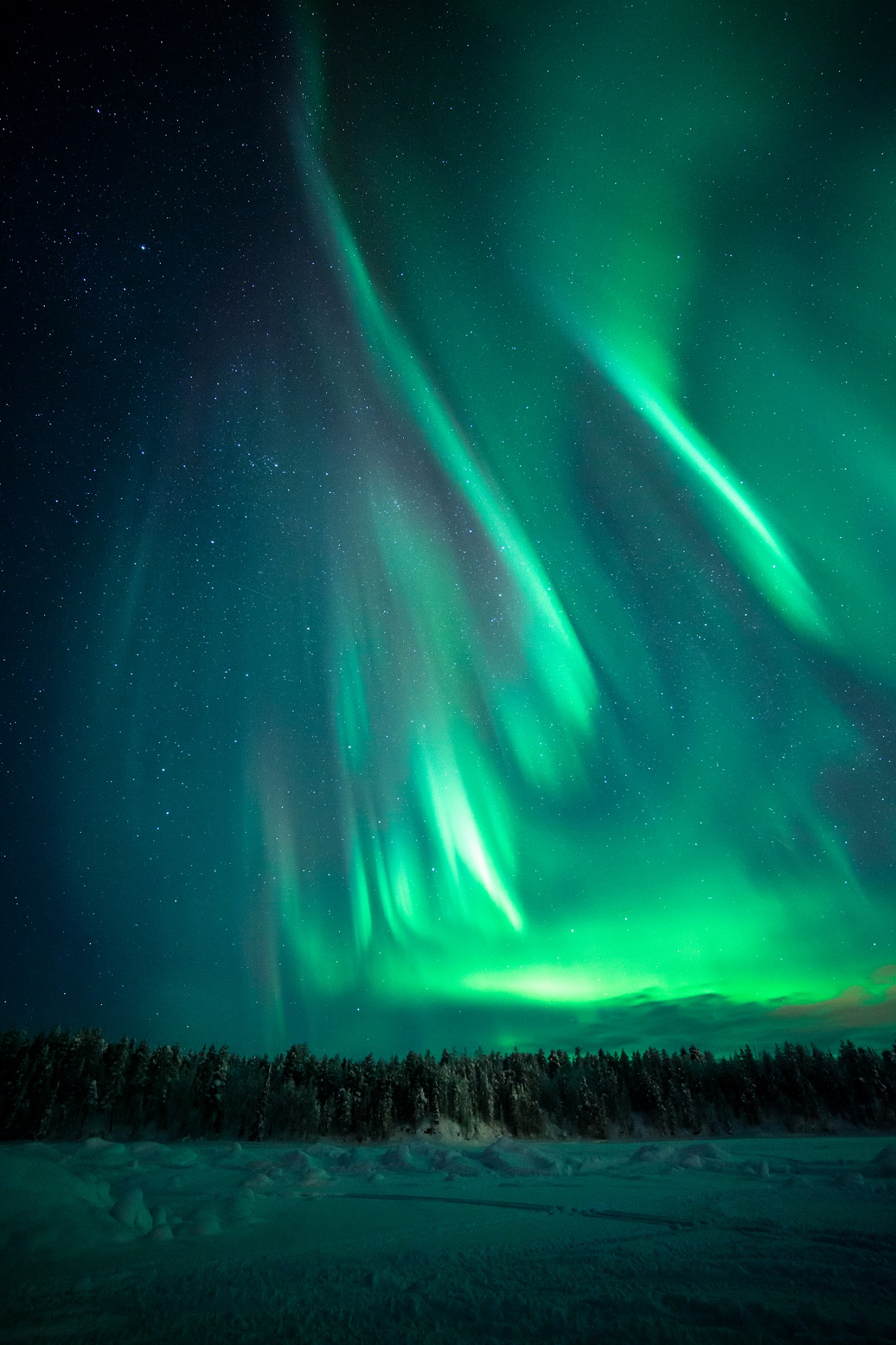 Credit Antti Pietikainen 344202