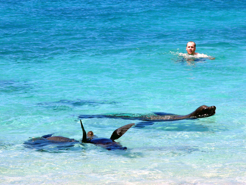 GPS24 Playing with Sea Lions Galapagos Adventure Images