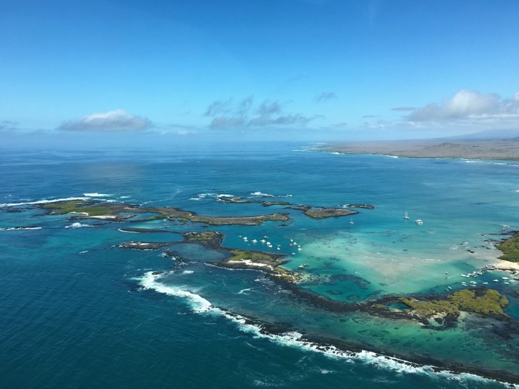 Galapagos 3 Neotropic Expeditions