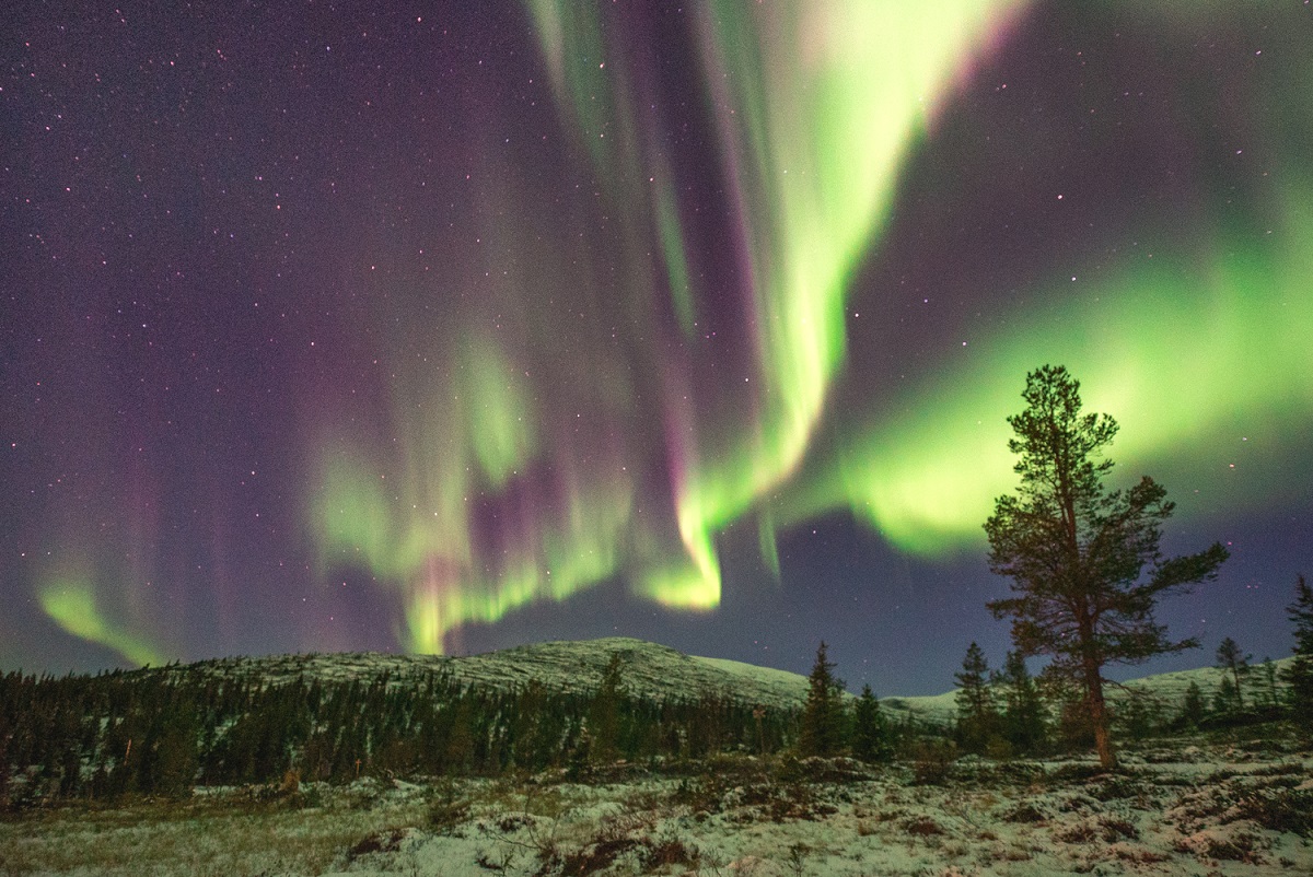 Harriniva Credit Antti Pietikainen