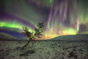 Harriniva 3 Credit Antti Pietikainen