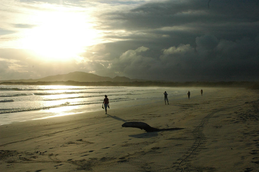 Isabela Island Beaches Credit Neotropic Expeditions resize