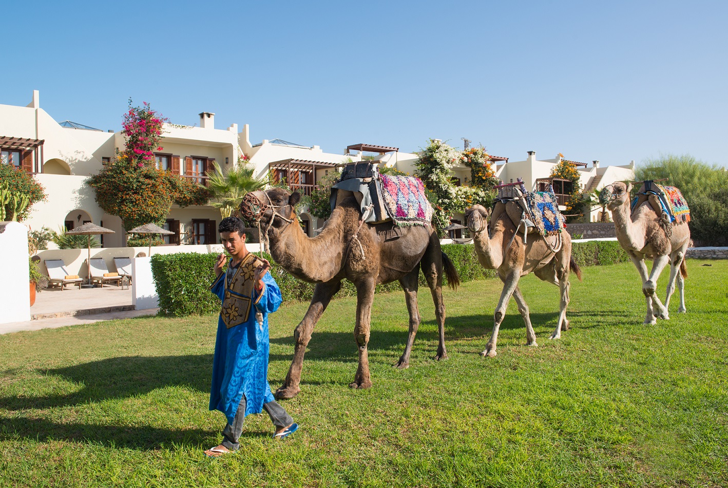 Morocco credit Alan Keohane 1