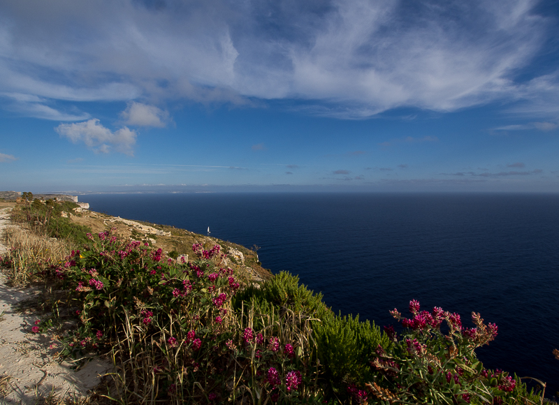 Sanap cliffs Gozo 2 credit Pete Bullen