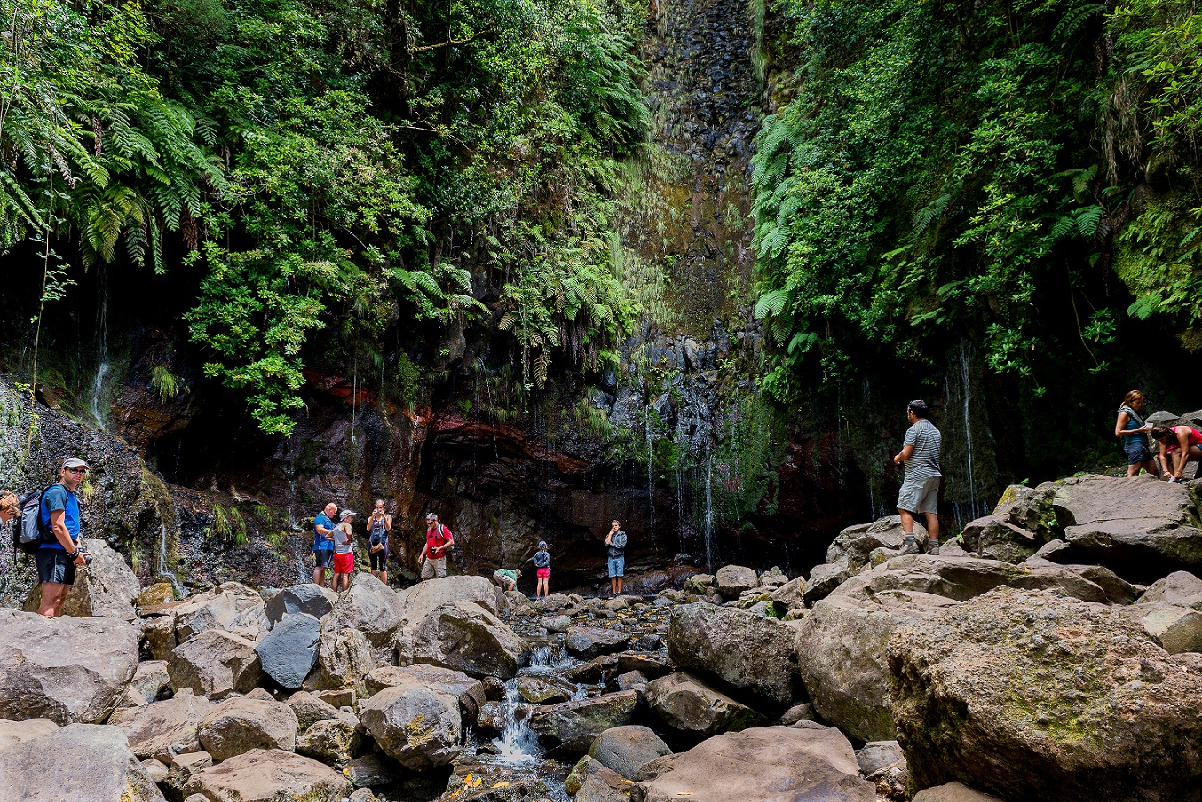 Walking Tour Levada do Risco 2