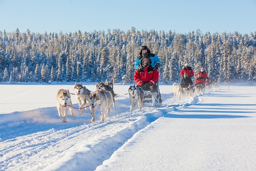 dog sledding