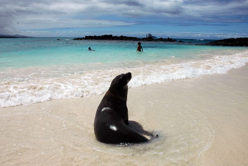 galapagos