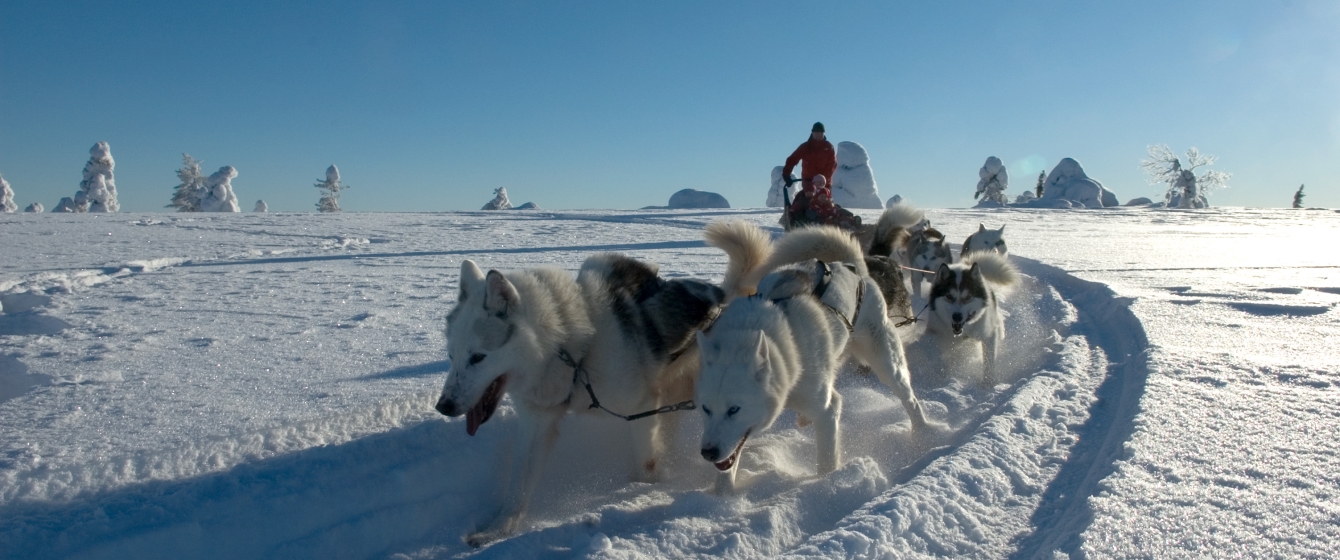 Family Holidays to Finland 