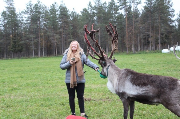 reindeer1